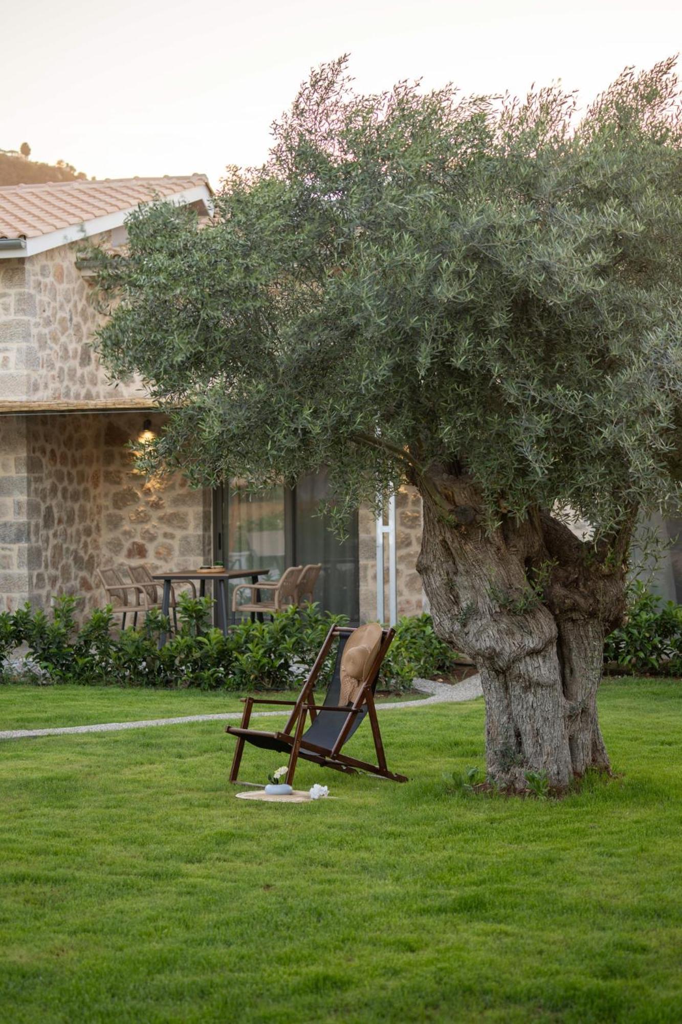 Yannis Retreat Apartment Lefkada City Ngoại thất bức ảnh